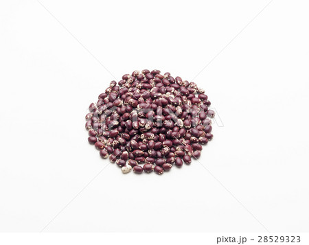 集まった豆(紅しぼり金時) 集まった豆(紅しぼり金時) 28529323