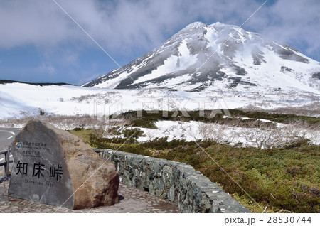 知床峠の春 28530744