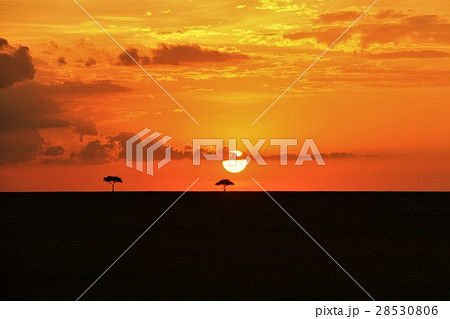 アフリカの夕日 アフリカの夕日 28530806