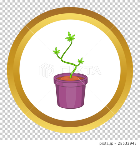 Marijuana in flower pot vector icon Marijuana in flower pot vector icon 28532945