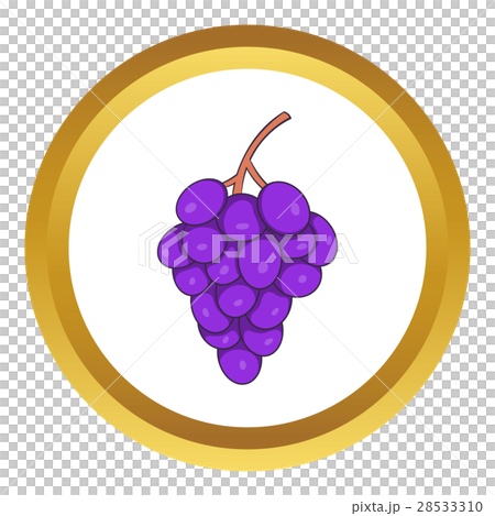 Bunch of wine grapes vector icon 28533310