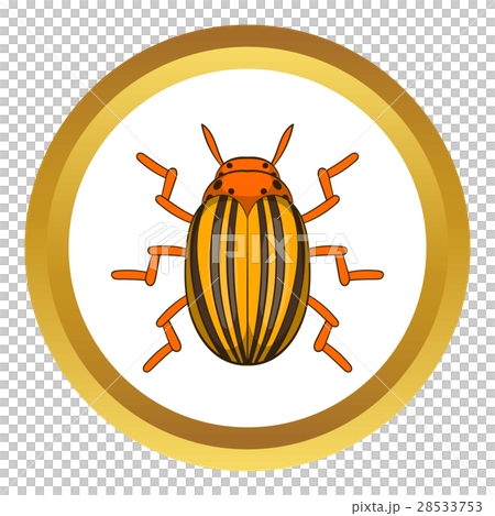 Colorado potato beetle vector icon Colorado potato beetle vector icon 28533753