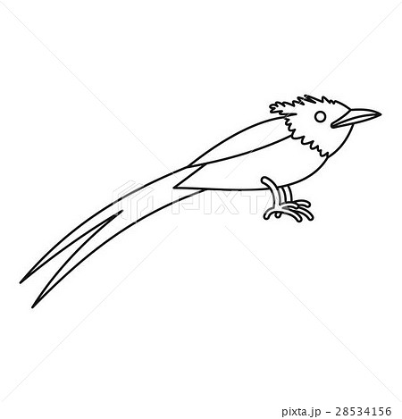 Asian paradise flycatcher icon, outline style Asian paradise flycatcher icon, outline style 28534156