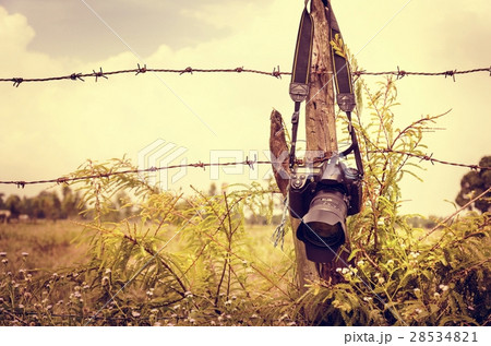 Camera Hanging Fence Nature Greens 28534821