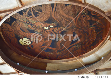 天龍寺塔頭寺院　慈済院　水摺福壽大弁財天の龍図 28541831