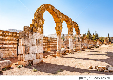 世界遺産アンジャル(レバノン、アンジャル) 28542576