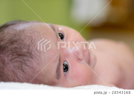 baby girl baby girl 28543168
