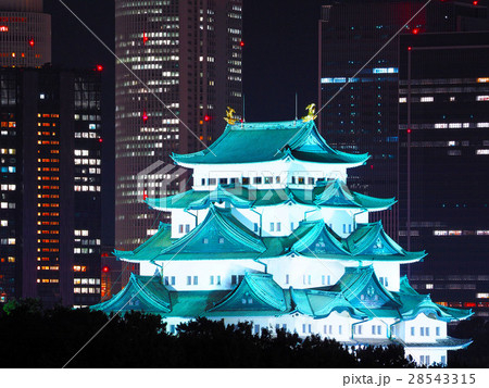 11月愛知　名古屋城　天守閣　ライトアップ　高層ビル 28543315