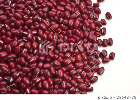 法堂 乾燥果実 丸干し 28543779