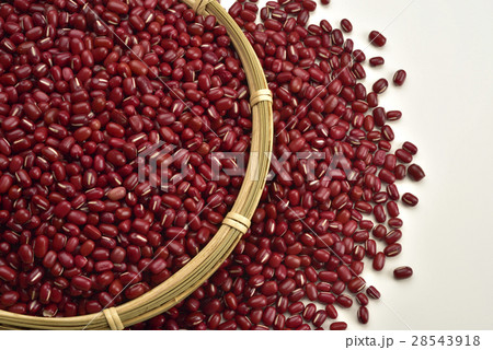 赤色 赤 赤い 28543918