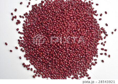 赤色 赤 赤い 28543921