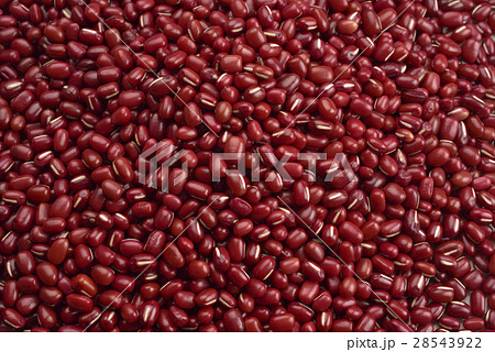 背景 バックグラウンド バックグランド 28543922