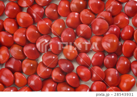 鮮明 きれい 美しい 28543931