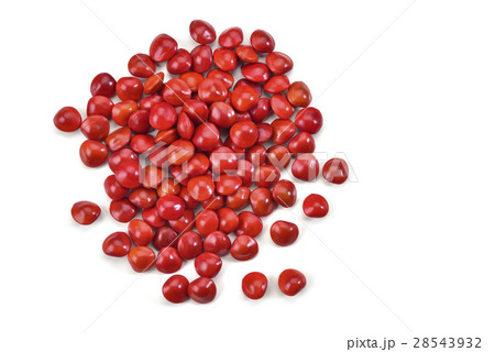 鮮明 きれい 美しい 28543932