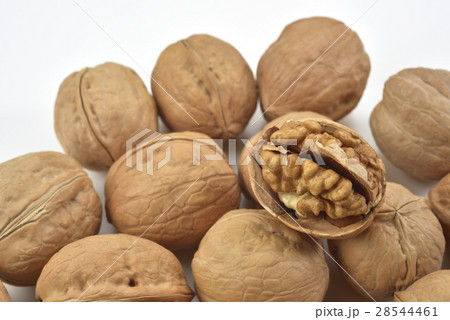 クルミ ピーカン パガン 28544461