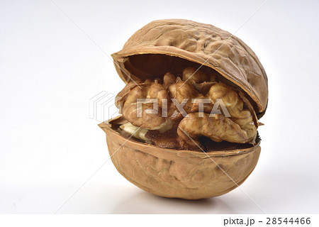 クルミ ピーカン パガン 28544466