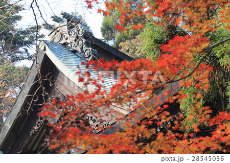 四国別格二十霊場第15番札所「箸蔵寺」御本殿の紅葉 四国別格二十霊場第15番札所「箸蔵寺」御本殿の紅葉 28545036