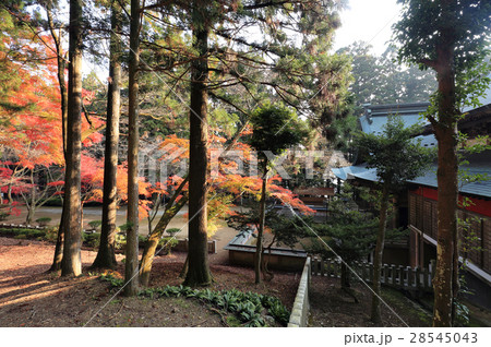 四国別格二十霊場第15番札所「箸蔵寺」御本殿の紅葉 28545043