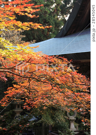四国別格二十霊場第15番札所「箸蔵寺」御本殿の紅葉 四国別格二十霊場第15番札所「箸蔵寺」御本殿の紅葉 28545045