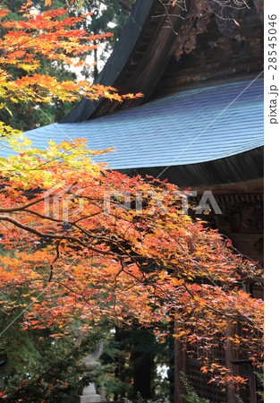 四国別格二十霊場第15番札所「箸蔵寺」御本殿の紅葉 28545046