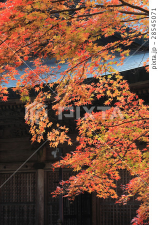 四国別格二十霊場第15番札所「箸蔵寺」御本殿の紅葉 28545071