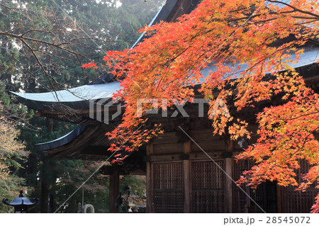 四国別格二十霊場第15番札所「箸蔵寺」御本殿の紅葉 28545072
