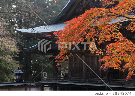 四国別格二十霊場第15番札所「箸蔵寺」御本殿の紅葉 28545074