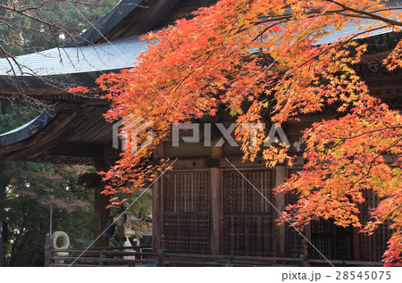 四国別格二十霊場第15番札所「箸蔵寺」御本殿の紅葉 28545075