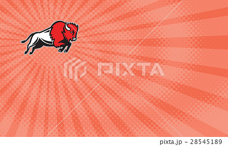 Jumping Bison Farms Business card 28545189