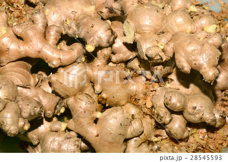 heap of ginger root at the market 28545593