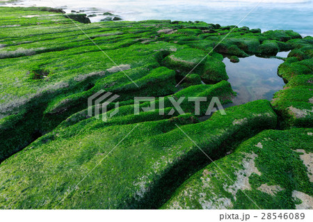 緑色 緑 グリーン 28546089