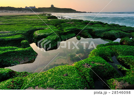 砂浜 ビーチ 緑色 28546098