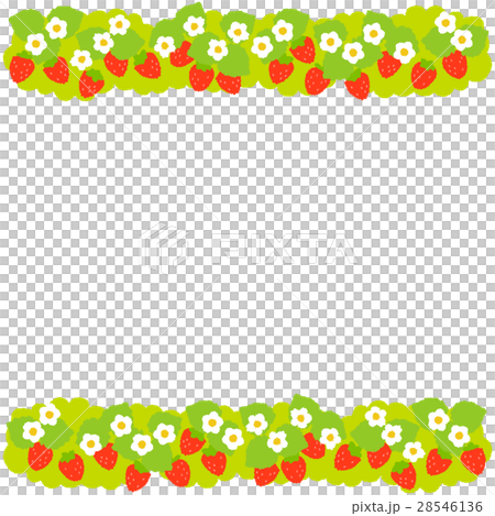 Strawberry  28546136