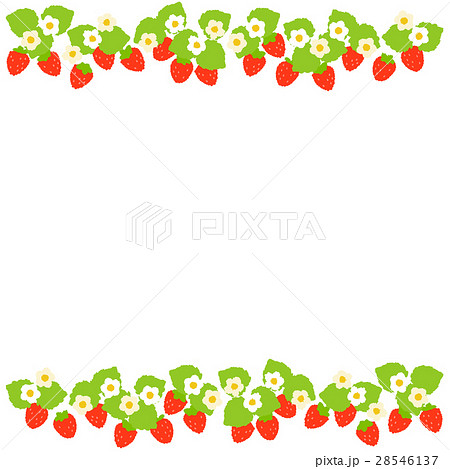 いちご いちご 28546137
