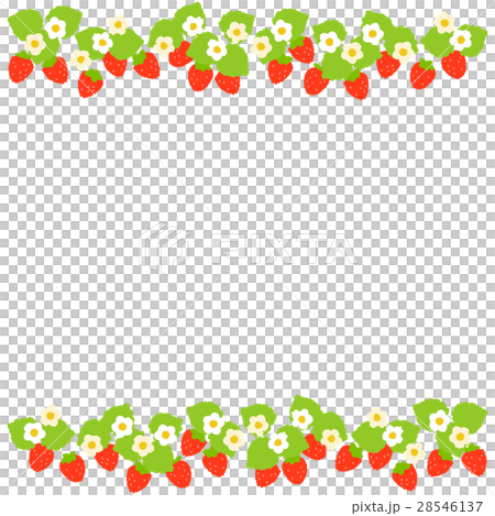 いちご いちご 28546137