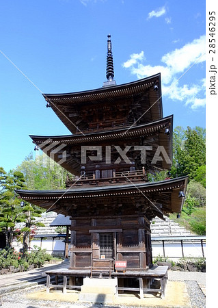 高山寺 三重塔 高山寺 三重塔 28546295
