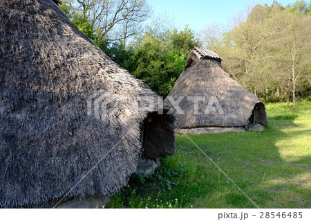 宮遺跡公園 28546485