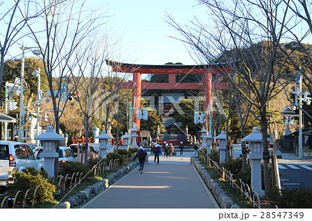 朝の段葛から見た、鶴岡八幡宮　鎌倉 28547349