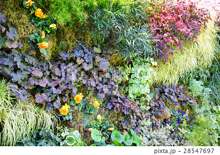 壁面緑化 28547697