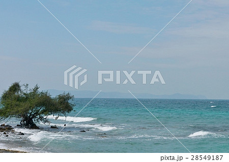 タイ王国パタヤ近郊ラン島の海（Sea view of Ko Lan, Thailand） 28549187