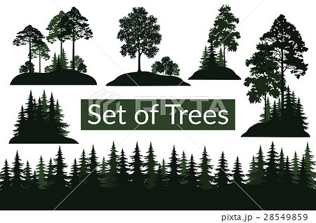 Landscapes, Trees Silhouettes Landscapes, Trees Silhouettes 28549859
