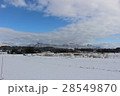 蒜山 28549870
