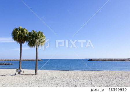 宮崎のビーチ 28549939