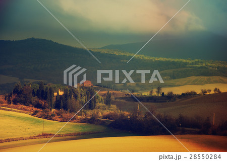 Wavy fields in Tuscany 28550284
