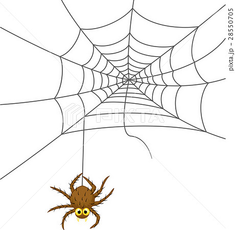 Spider web cartoon 28550705