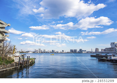 東京湾 28551209