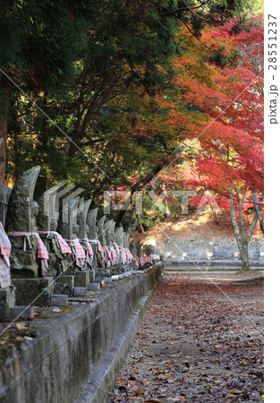 四国別格二十霊場第15番札所「箸蔵寺」八十八ヶ所御砂踏の石仏と紅葉 四国別格二十霊場第15番札所「箸蔵寺」八十八ヶ所御砂踏の石仏と紅葉 28551237