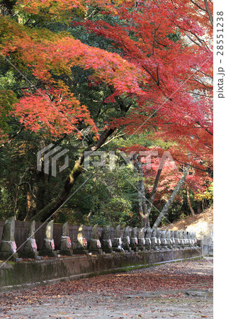 四国別格二十霊場第15番札所「箸蔵寺」八十八ヶ所御砂踏の石仏と紅葉 四国別格二十霊場第15番札所「箸蔵寺」八十八ヶ所御砂踏の石仏と紅葉 28551238