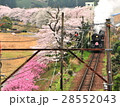 蒸気機関車 28552043