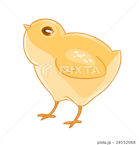 Cute cartoon yellow chicken. 28552068
